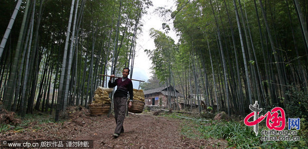 �żҽ���������̽��“��ֽ”�Ĺŷ���ֽ����[�����й�]