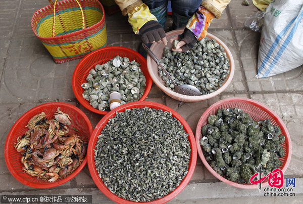 �����ٸߵĺ���������[��ͼ]