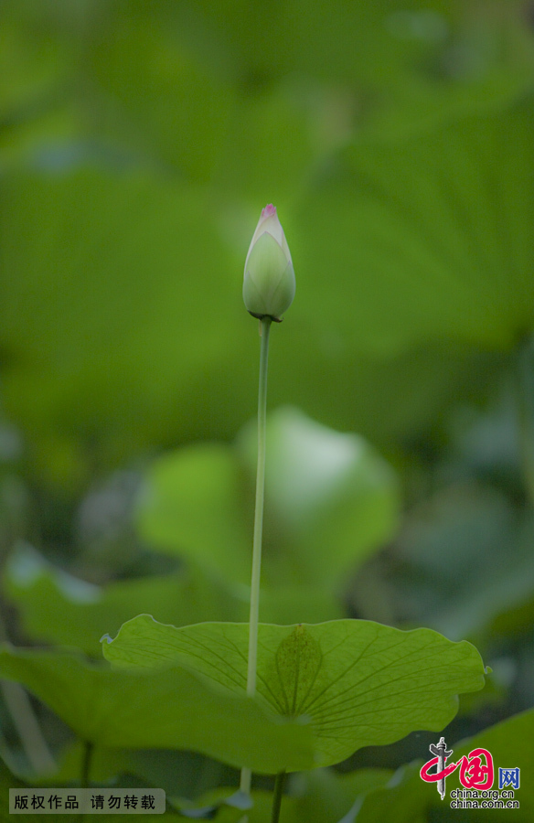 ��ĩ��������Ʈ����[����]