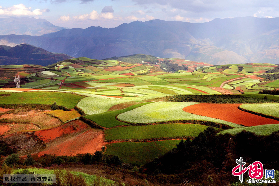 云南东川红土地是全世界初巴西里约热内卢外最有气势的红土地,而其景象比巴西红土地更为壮美。中国网图片库 钟桂林摄 云南东川红土地是全世界初巴西里约热内卢外最有气势的红土地,而其景象比巴西红土地更为壮美。中国网图片库 钟桂林摄