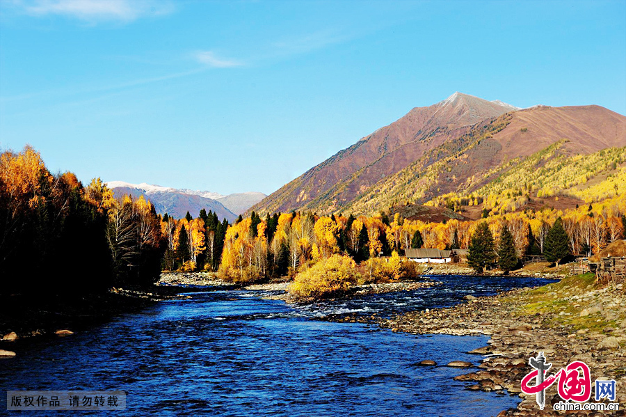 新疆布尔津县禾木村秋色迷人。 新疆布尔津县禾木村秋色迷人。