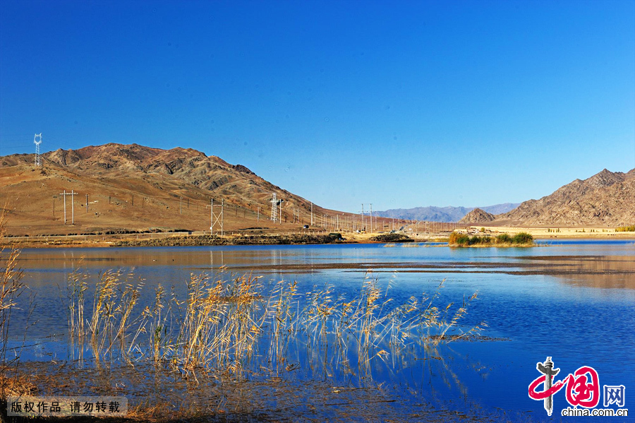 �½���ԭ���——�ɿ������������ɫ��