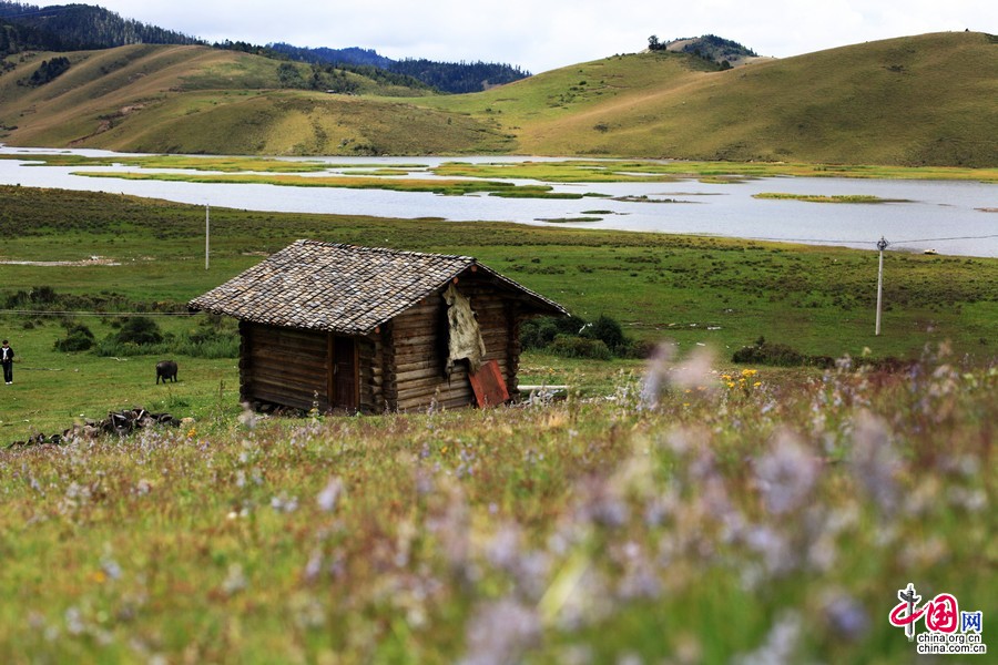 �̺����ݳ���Ұ����ľ�ݣ������ͯ���������Ŀ���������