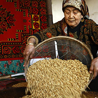 [ͼƬ����]ά������ӭ����