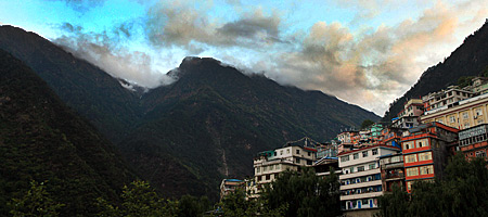 ����������ľ