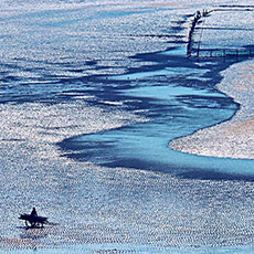 ����ϼ�� ׷����Ӱ�ĵط�[��ͼ]