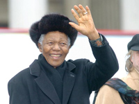 28������Ԫ���������쵼��ȷ�ϲμ����������� [��ͼ]