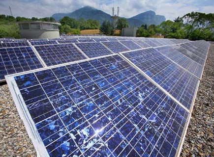 ӡ������