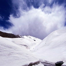 ��һ����—���������ı���[��ͼ]