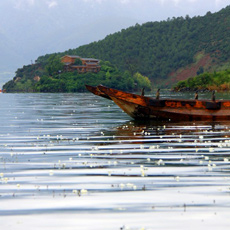 ���������——��ԭ�ϵ�������[��ͼ]