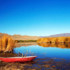 ��ԭ���——�ɿ������[��ͼ]