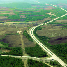 �����������Ĵ��˰���[��ͼ]