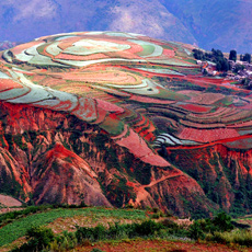 ������ԭ--���϶���������[��ͼ]