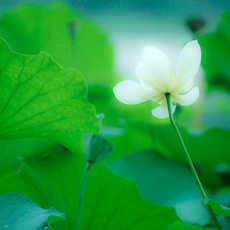 ��ĩ��������Ʈ����[����]