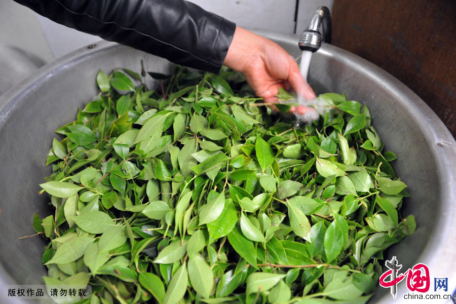 �㽭ʡ����������ʱ�ڳ�“���׷�”��ϰ�ס�