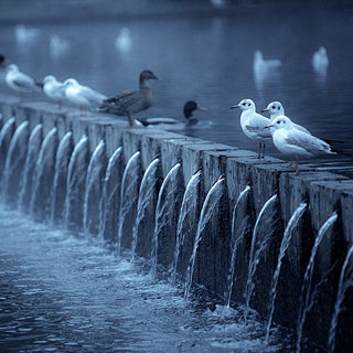 ����������˹Ӣ�۹㳡