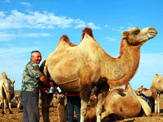 ��ͼƬ���¡���������С����Ҷ�����ҵ���������