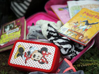 ����MH17�����ߵ�����[��ͼ]