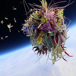 �ձ�������������������̫�� ����Ψ��̫������[��ͼ]