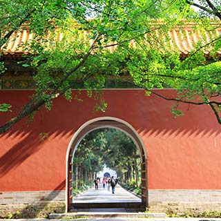 �������Ͼ�——��Т��[��ͼ]