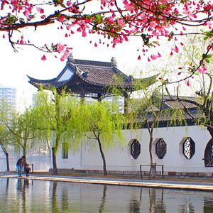 ���ϵ�һ����——�Ͼ�Ī���[��ͼ]