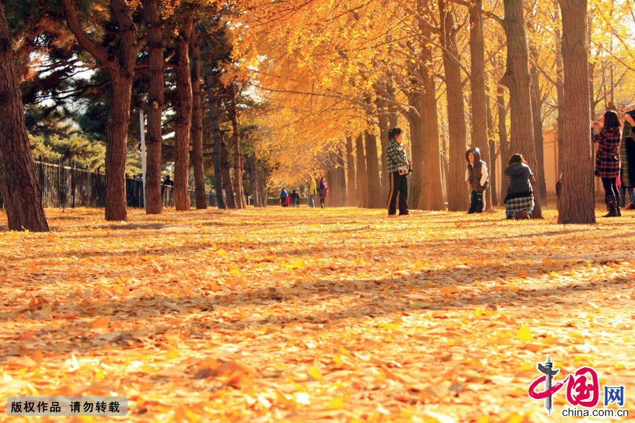 ��������̨���Ӵ���������ڱ�����������ӵĵ���̨�����ݵĶ�ǽ�⡣������������ƣ����������ҫ�£�������ӲӵĹ�â�� 