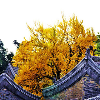 �������ӹ��͵�-�˴�Ԫ��������[��ͼ]