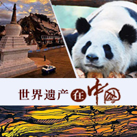 ��ר�⡿�����Ų����й�