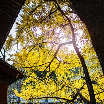 �������ɫ����[��ͼ]