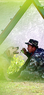 ����ѵȮԱ�����Ե�ս����