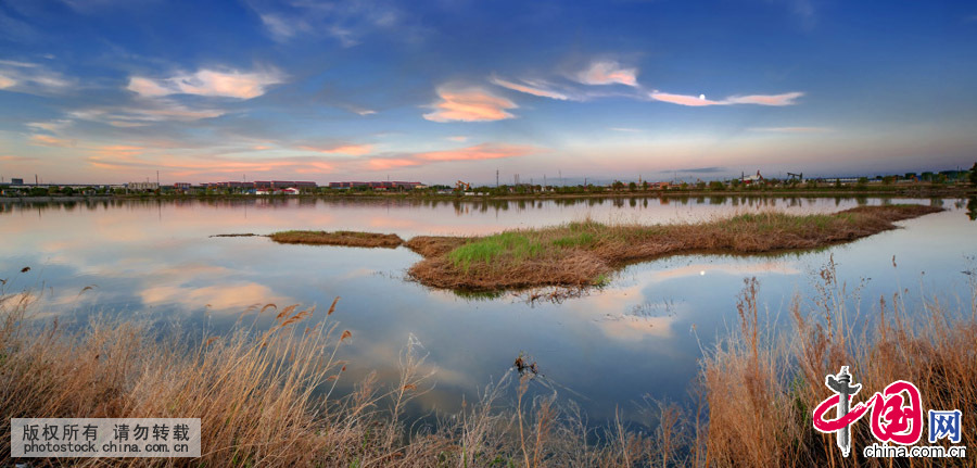 2015��6��1�գ������г¼Ҵ�Ժ�ݣ�����һ����ʽ�����ڵء��й���ͼƬ�� ��������