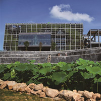 ������ɫ��̼��չ����Ƭ�����ڹ��ʵ�̼��[��ͼ]