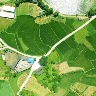 “����”�˹���԰�����[��ͼ]