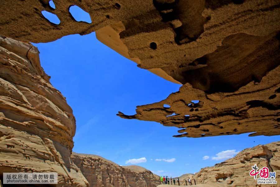 �������½�����������ŵ����ۣ�6��20���㣩���й���ͼƬ�� ������ ��