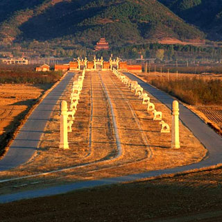 δ����ǰ����ʮ����——����������������