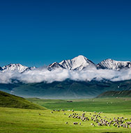 �߽�����