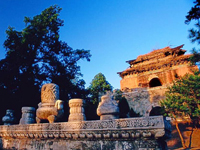 �м�����ʮ����֮��[��ͼ]