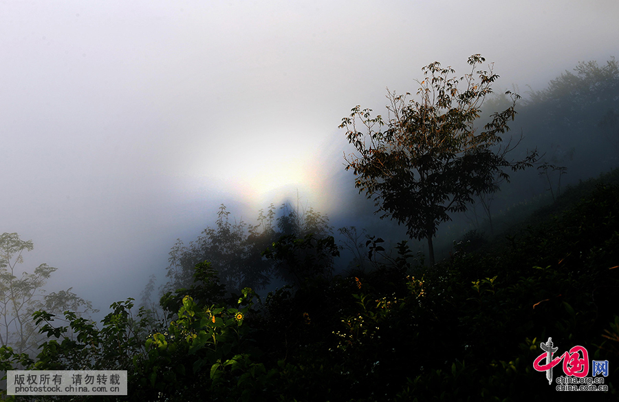 “���”�ֻ�ɽʯ̶�羰�� ����֮���β����[��ͼ]