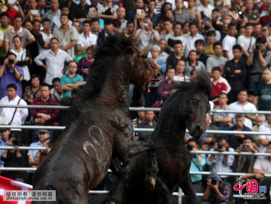 ������ɽ������ ��������“˺ҧ”������[��ͼ]