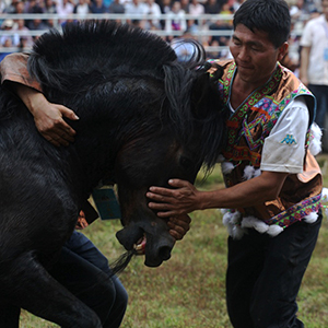 ������ɽ������ ��������“˺ҧ”������[��ͼ]