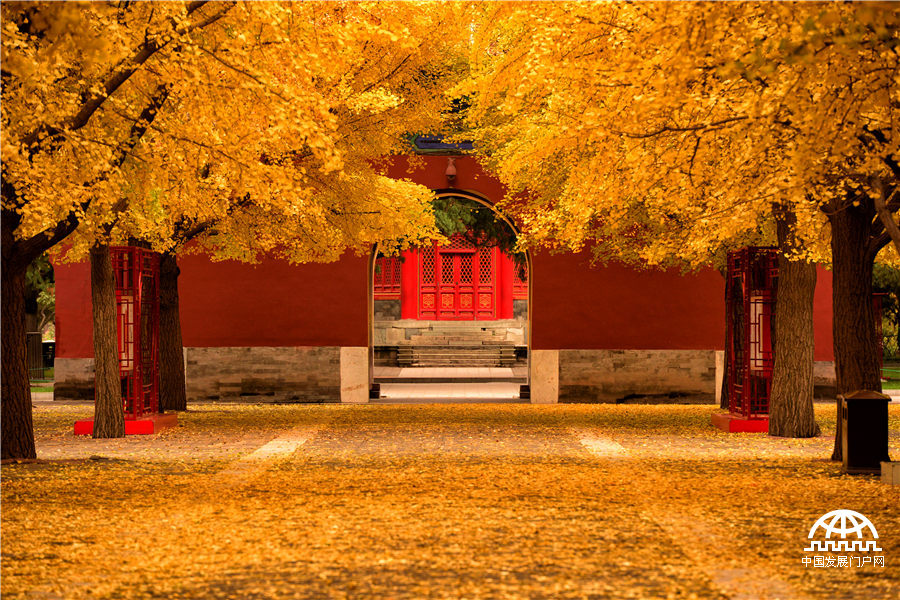 “���죬�ⱱ�������죬������ס�Ļ�����Ը������������֮����ȥ������һ������֮һ����ͷ……”�����������һƪ���ʶ�����������˶����˶��ڱ�������������������������ۣ�ʱ����Ǩ����������ȴ��Ȼ�����壬���þ����ѵõ�տ����պ�ֽī������������ɫ����������һ�����죬����������˱�ƽ…… ���й���ѧԺ��ѧ ������Ӱ�� 