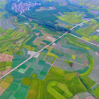 ��ĩ���������ֲ�ɫ��԰ ��������ɫ����[��ͼ]