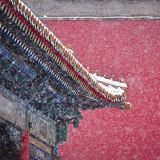 ����“Сѩ”ʱ�ڴ�ѩ�׷� ��ѩ���ǽ����ʤ��[��ͼ]