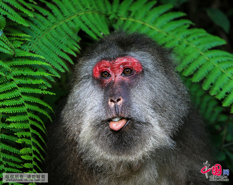 ������ӭ����'��������'���� ��ɽͷ'���'����[��ͼ]