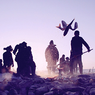 �����š���ɺ����� ��ѩ�����Ļ����Ŵ�