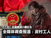 ȫý����鱨��:Ƥ�幤�� 