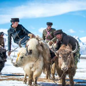 �����š����׶���ԭ�ϵĴ�ͳ��������ţ����