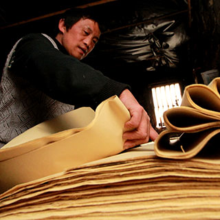 �����š����ϵ�¡��̲ͷ�ֹ���ֽ