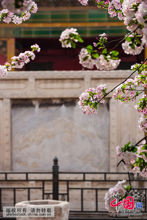 ����,̽�عʹ� ��ĩ�ĳ���ǽ�����аٻ�����[��ͼ]