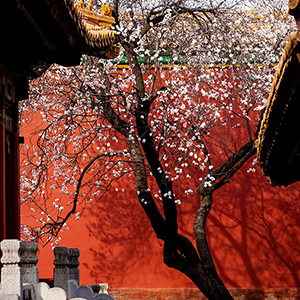 ����,̽�عʹ� ��ĩ�ĳ���ǽ�����аٻ�����[��ͼ]